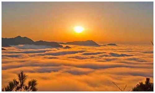 2026最新龙岛异兽官网下载官网地址是什么，附账号注册图文教程