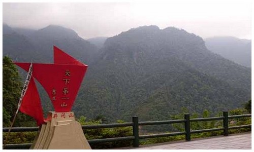 2026最新龙岛异兽官网下载官网地址是什么，附官网福利整理